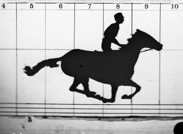 A photo taken by Muybridge of a horse with all four legs off the ground.