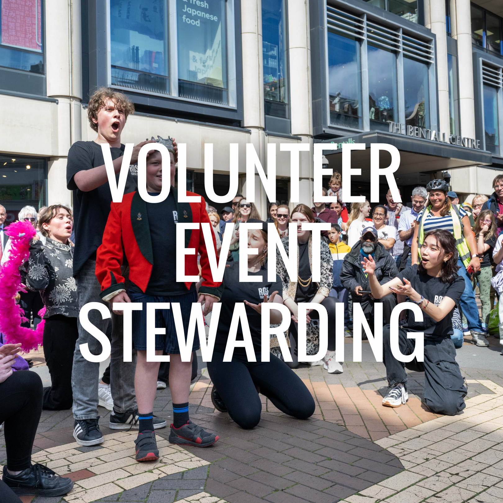 Volunteer Event Stewarding