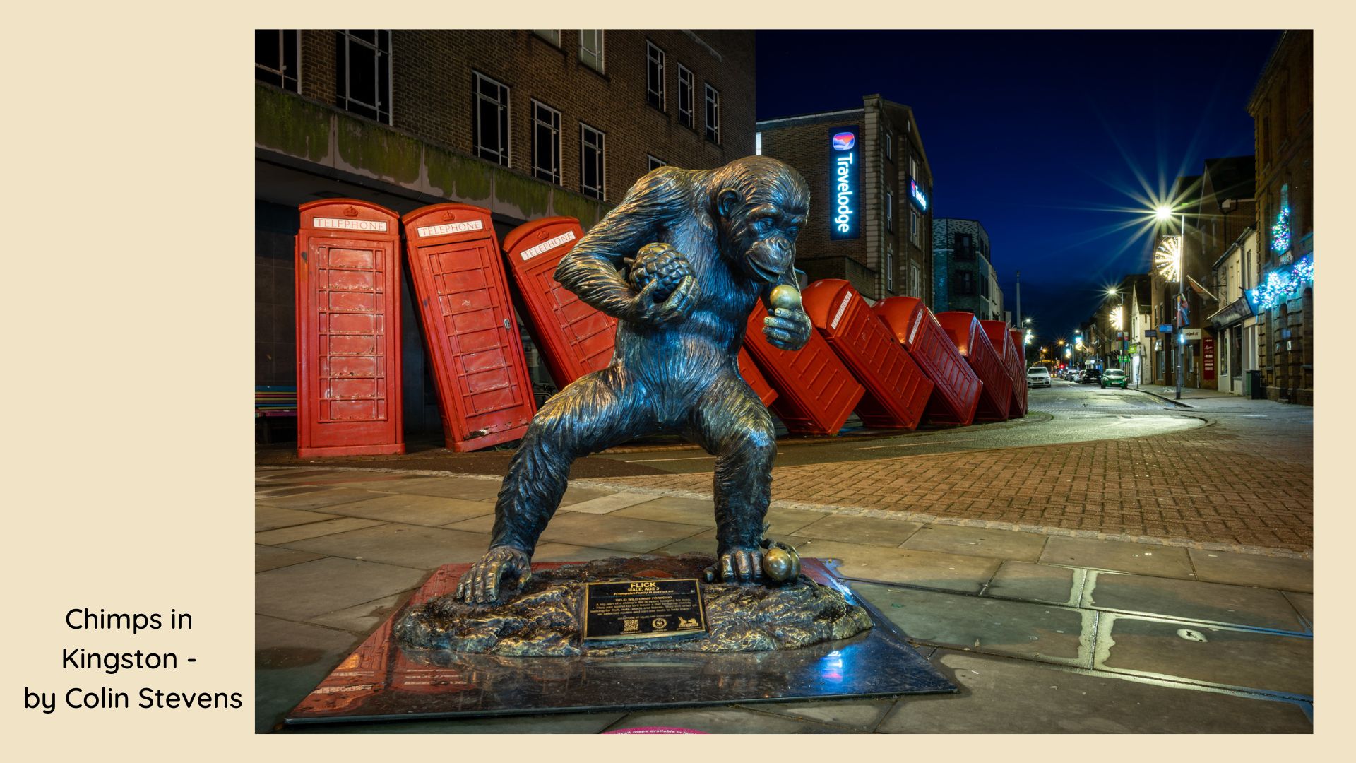 Highly Commended 5