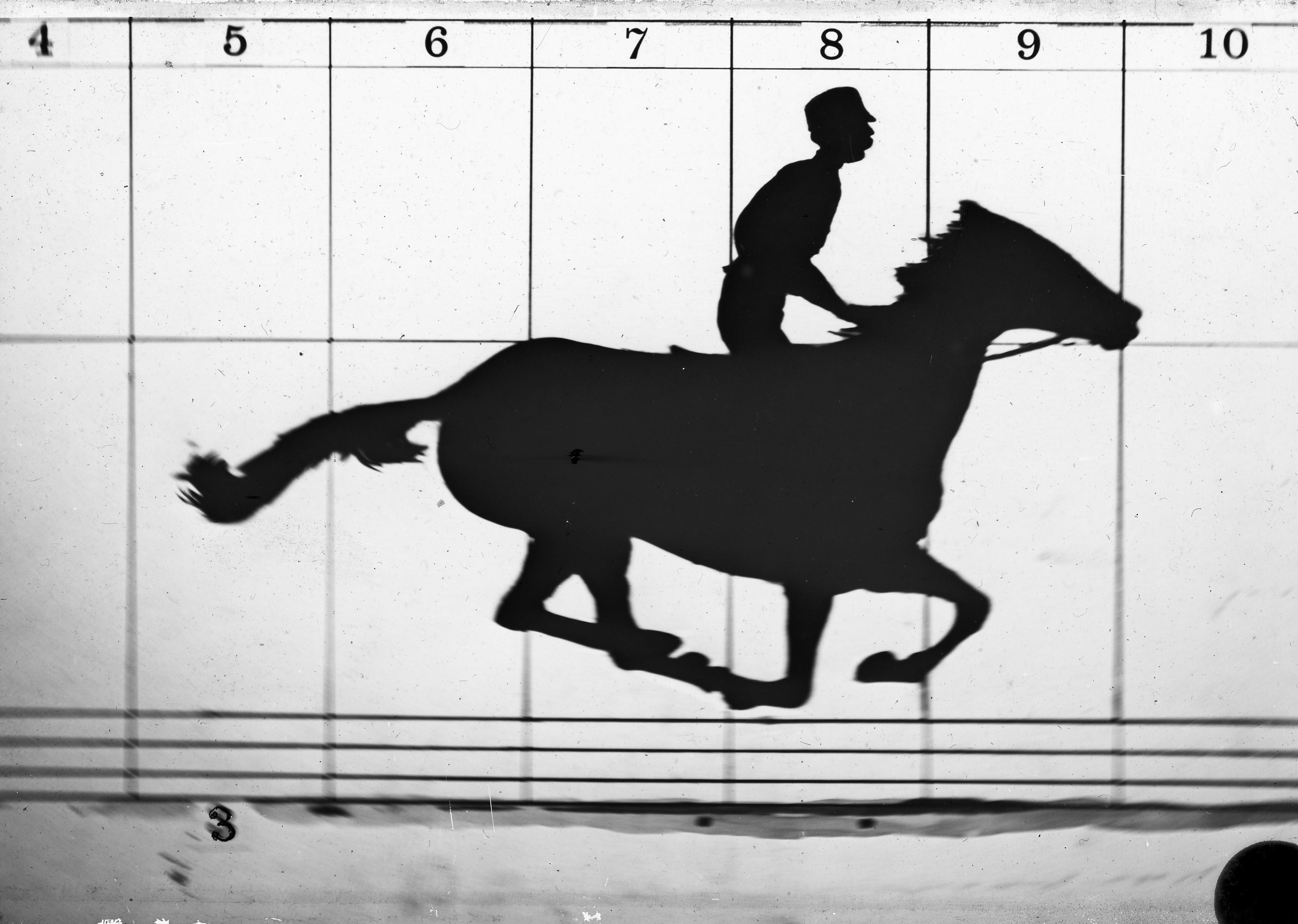 Muybridge - running horse
