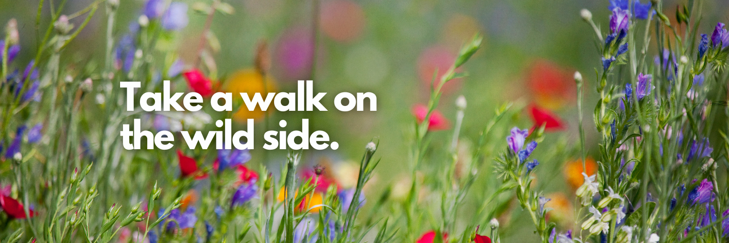 Sustainable September