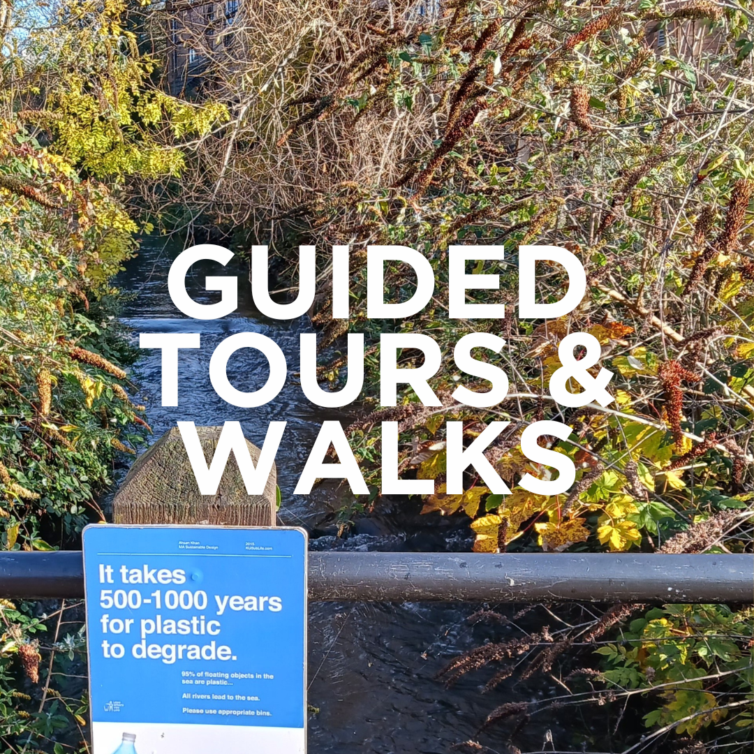 Guided Tours and Walks
