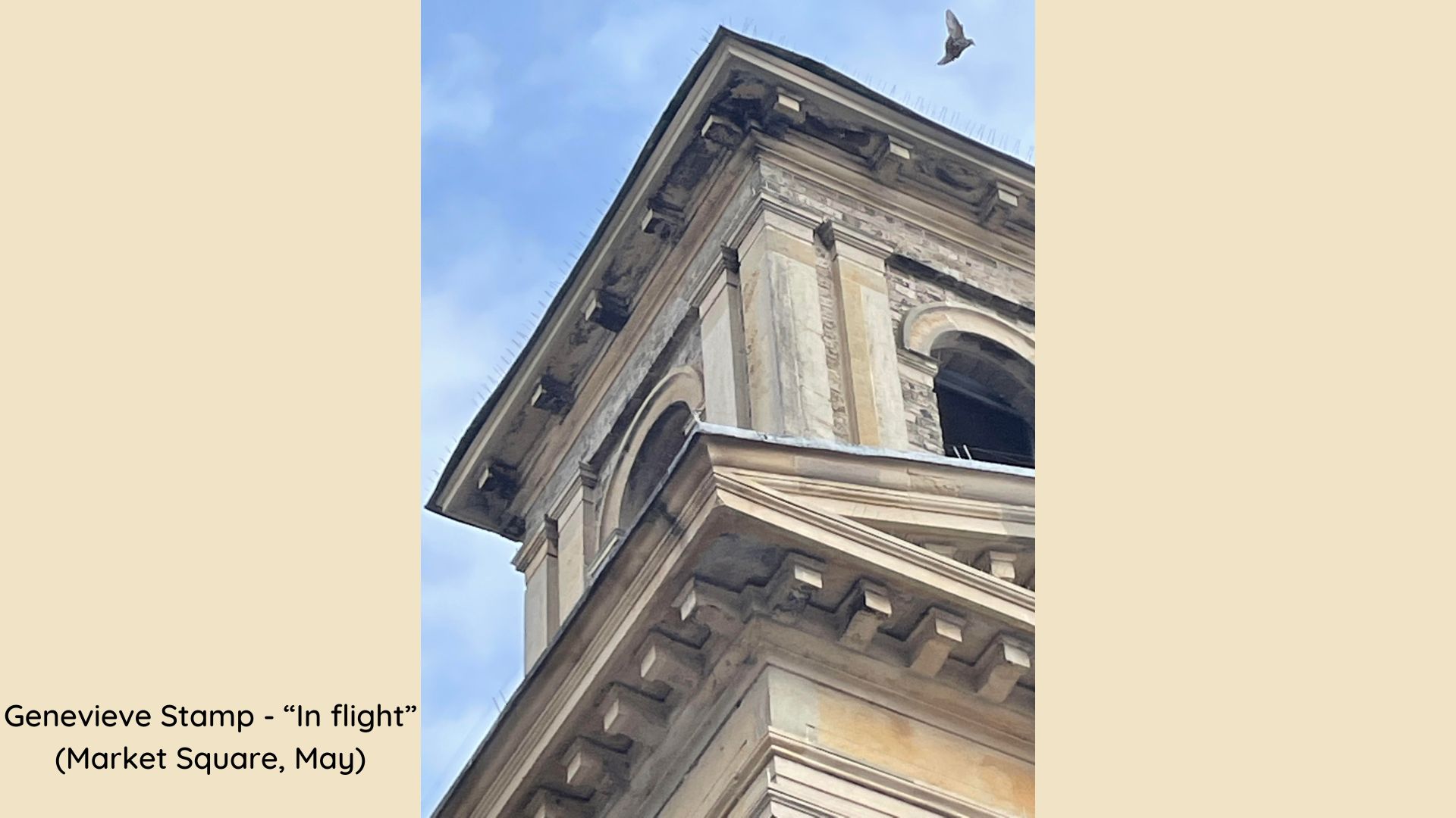 Genevieve Stamp - “In flight” (Market Square, May)