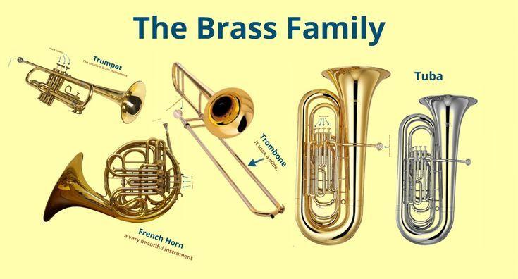 The brass family
