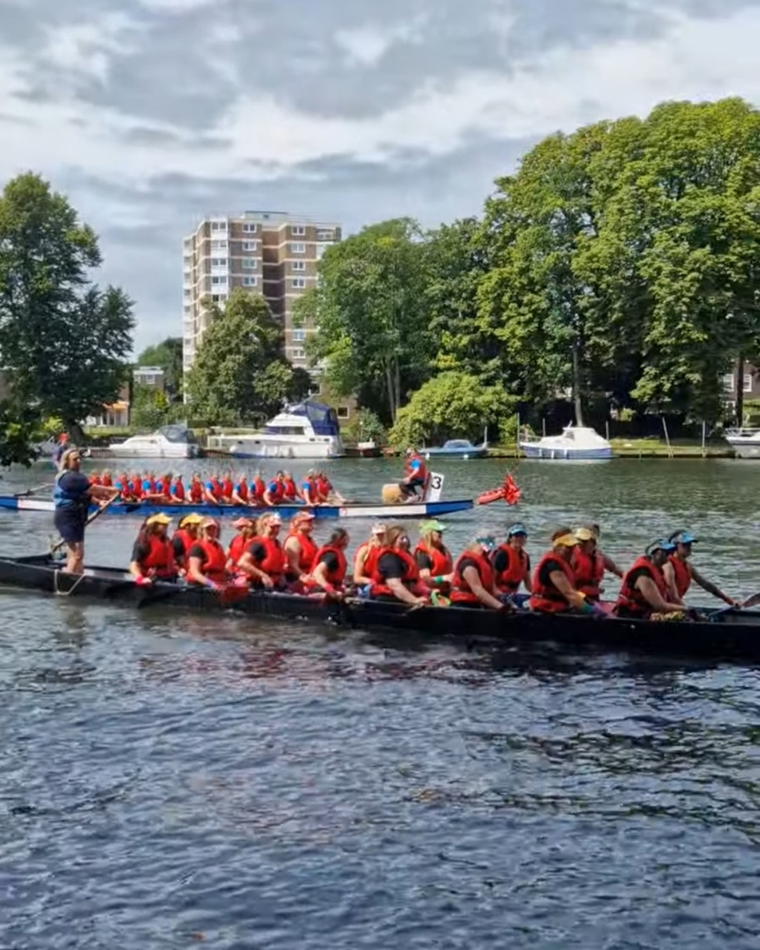 Dragon boat festival