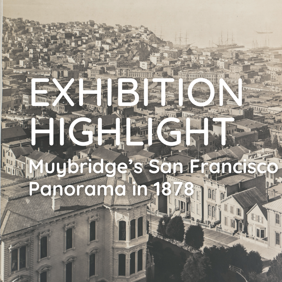 Exhibition Highlight