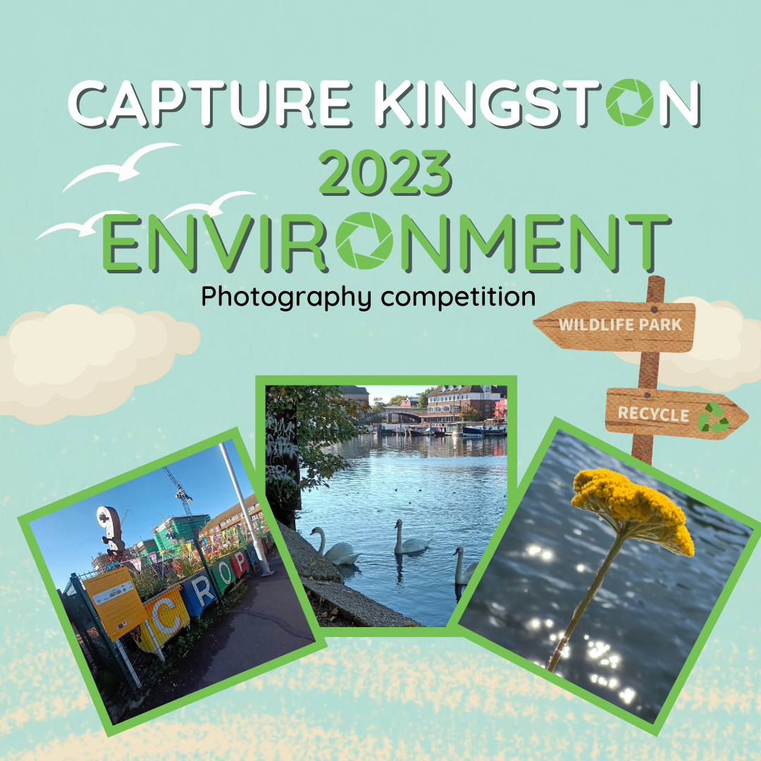 Capture Kingston Photography Competition