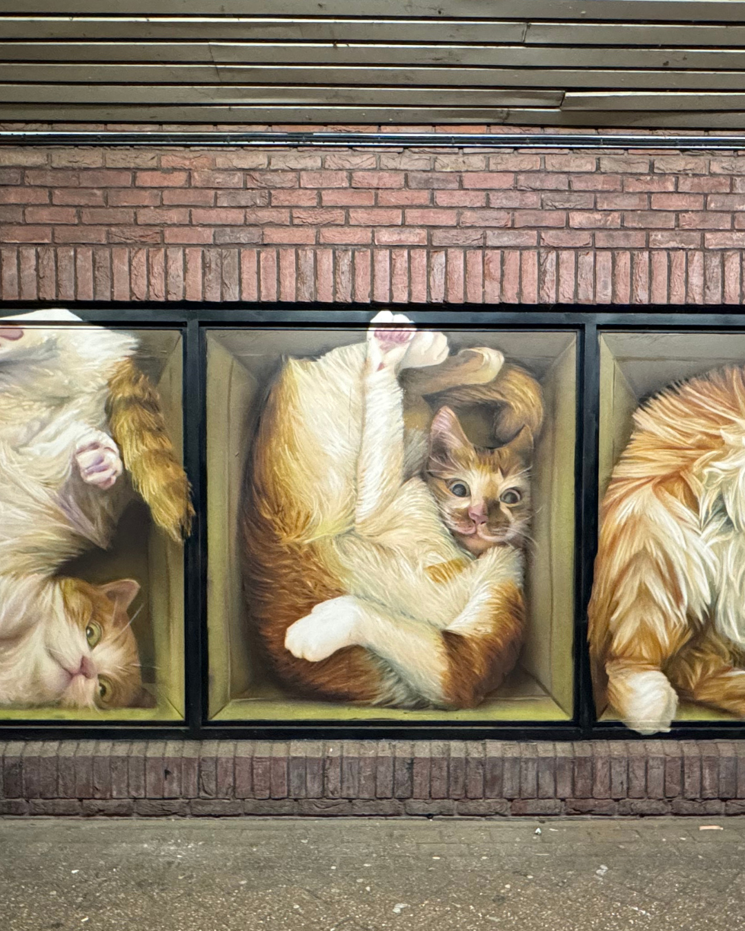 Royal Borough of Kingston street art
