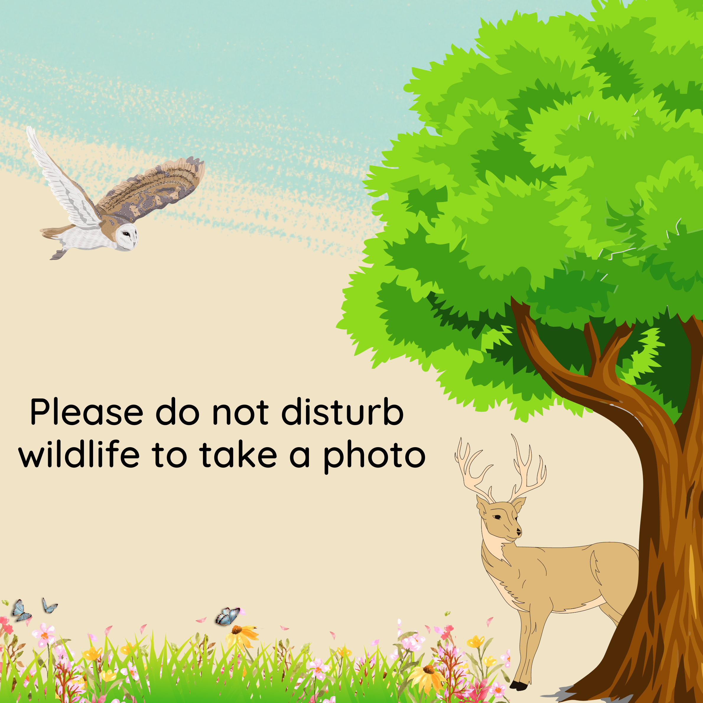 Don&#039;t disturb the wildlife to take a photo