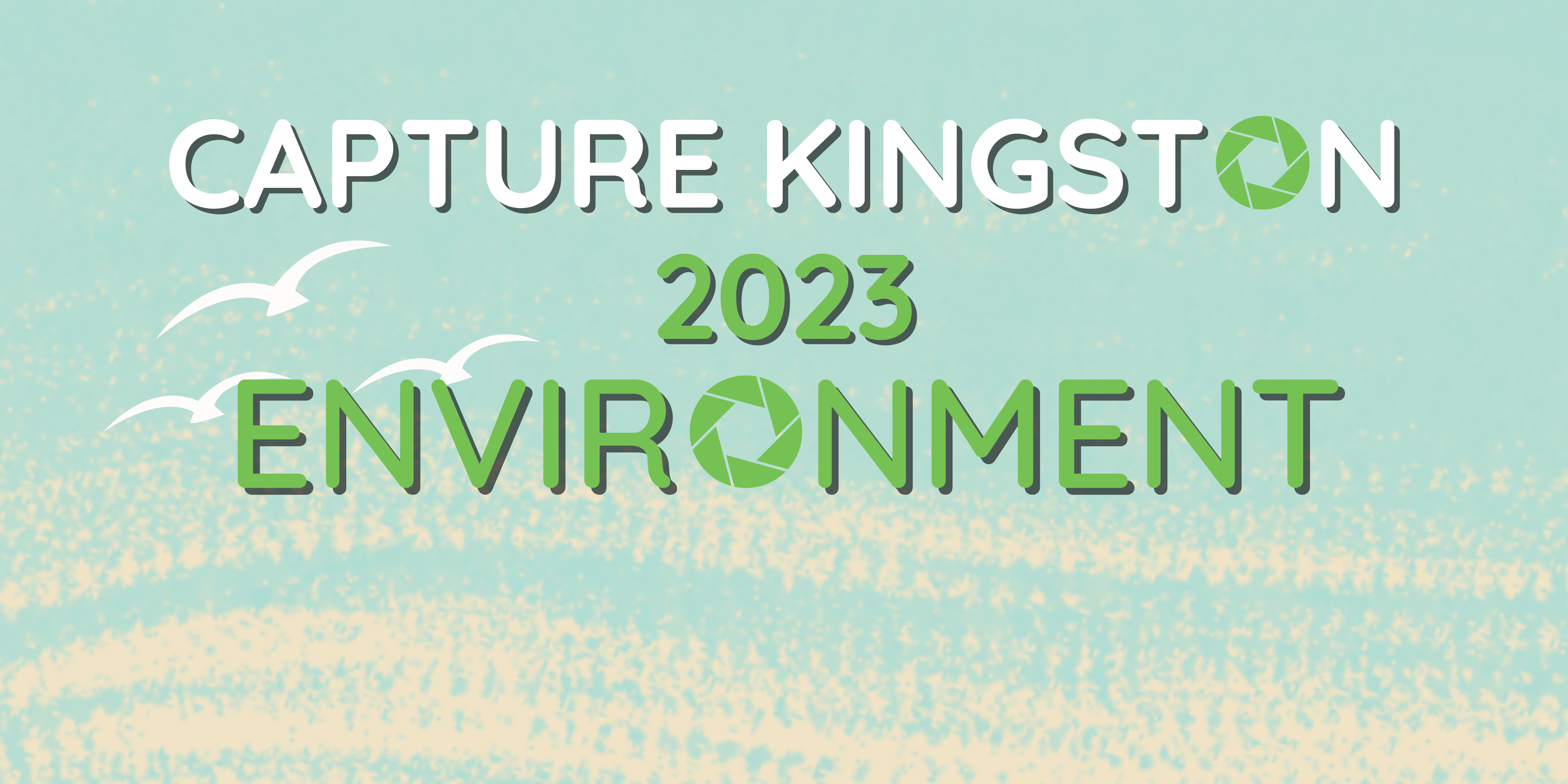 Capture Kingston 2023 Environment