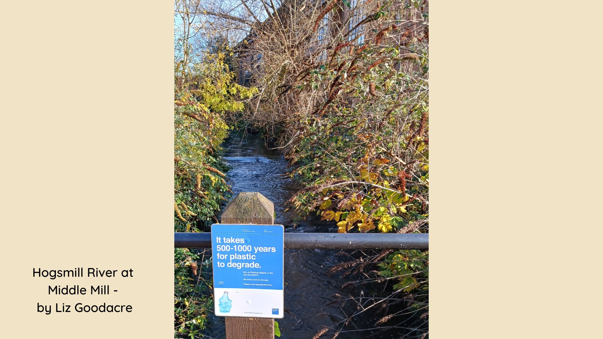 Hogsmill river and sign about plastic taking 500 - 100 years to degrade