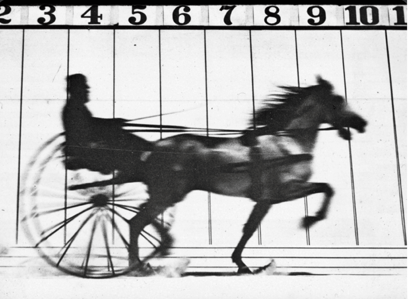 Muybridge horse and cart