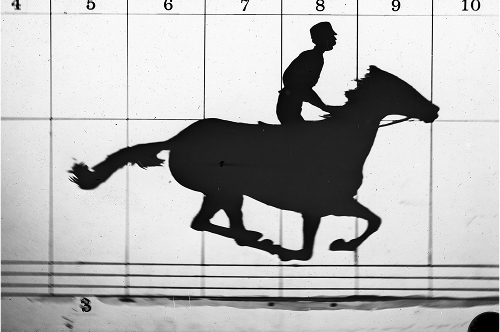 Muybridge in KIngston image